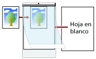 Colocación de una hoja en blanco (blanca) detrás