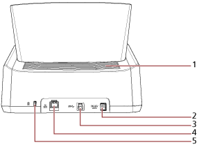 Lado posterior
