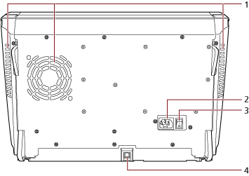 Lado posterior