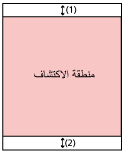 منطقة اكتشاف الصفحات الفارغة