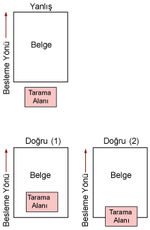 Tarama Alanı