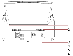 Lado posterior